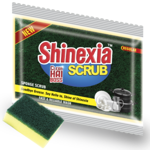 Sponge Scrub Regular